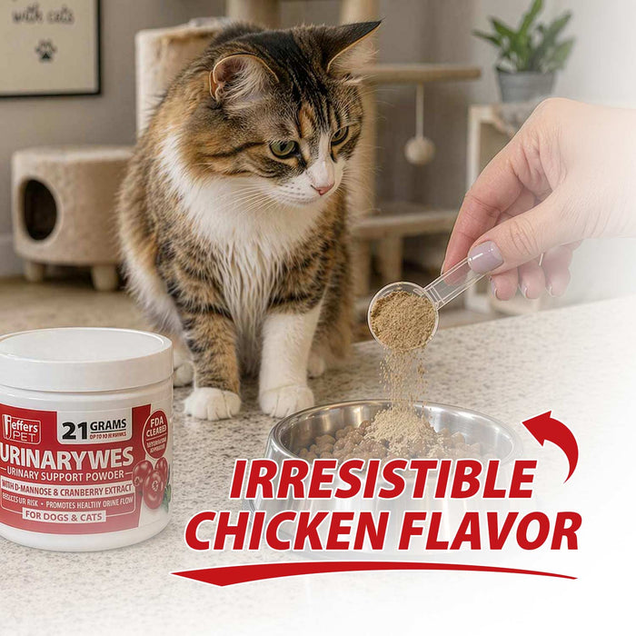 Jeffers UrinaryWes Urinary Support Powder with D - Mannose for Dogs & Cats - JEFBBF - 90 grams (Up to 42 Servings) - Chicken - Powder - 11