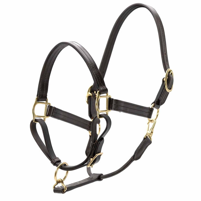 Jeffers Versailles Triple Stitched Adjustable Leather Halter for Horses, Havana - JEF15W - Cob - Havana - 1 - 1