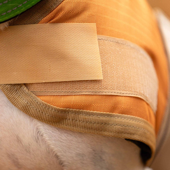 Jeffers Waterproof Breathe - Comfort 600D Ripstop Dog Blanket, 200 Gram - I2J2 - Light Green with Plum - 8" - 6