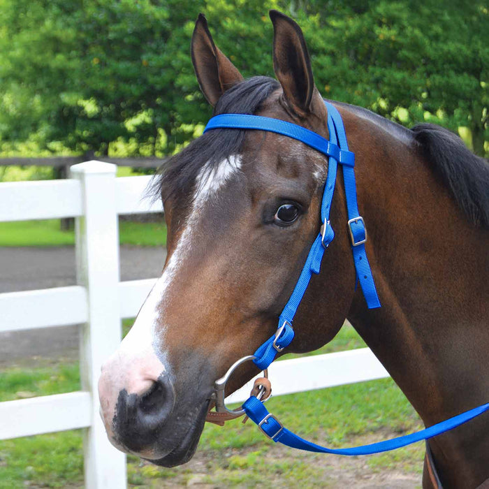 Jeffers Western Nylon Horse Bridle with 6' Split Reins Set - SS18 - Royal Blue - 6