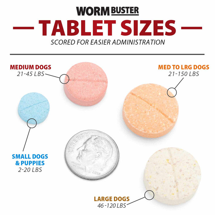 Jeffers Worm Buster Dog Dewormer Flavored Tablets - JEFZVA - For Small Dogs & Puppies (2–20 lbs) - Beef - 12 tabs - 9