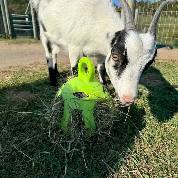 Jolly Hay Ball, 8" – Interactive Horse & Livestock Toy for Hay Feeding and Enrichment - H7TM - Green - 7