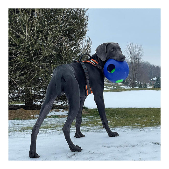 Jolly Teaser Ball Dog Toy – Interactive Ball - in - a - Ball, Floating, Durable Chase & Treat Toy - H7TB - Blue - 10" - 4