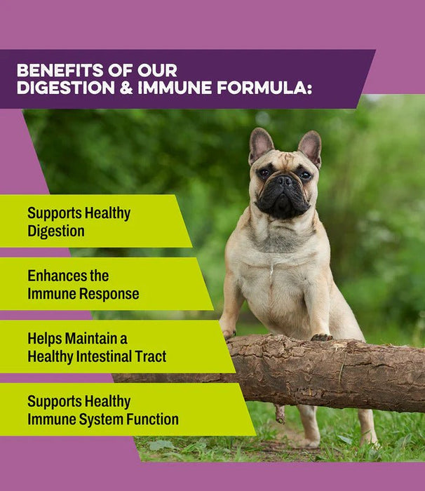 K9 Power Digest Forte Digestion & Immune Formula for Dogs - OG11 - 7