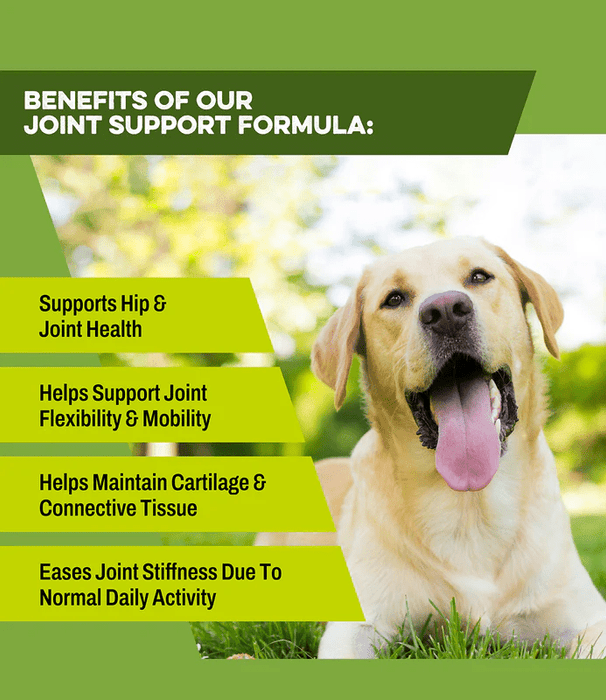 K9 Power Joint Strong Joint Support Formula for Dogs - OGCB - 7