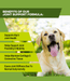 K9 Power Joint Strong Joint Support Formula for Dogs - OGCB - 7