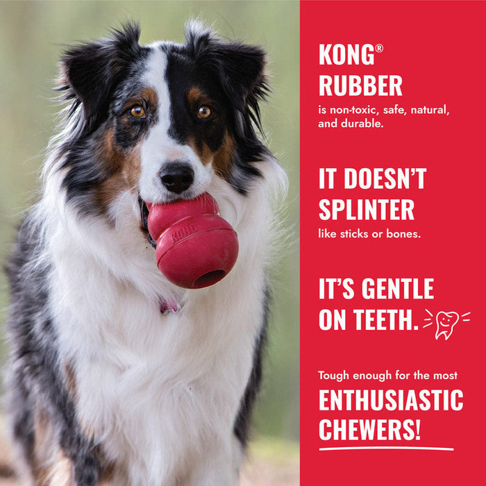 KONG Goodie Bone Md Color Red