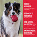 KONG Goodie Bone Md Color Red