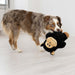 Snuzzles Hippo Color Black