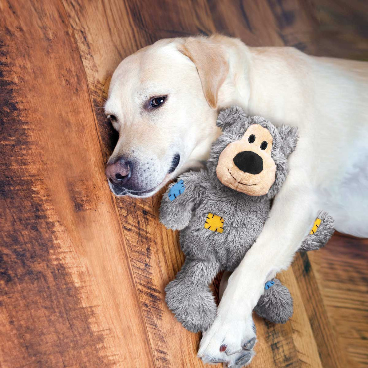 Wild Knots Bear Assorted - Multiple Colors — Lambert Vet Supplies