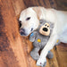 Wild Knots Bear Assorted Color Assorted
