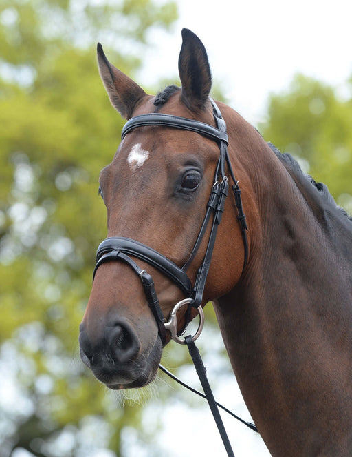 Kincade Leather Padded Flash Horse Bridle - 0VKA3 - Black - Cob - 1