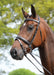 Kincade Leather Padded Flash Horse Bridle - 0VKA4 - Brown - Cob - 4