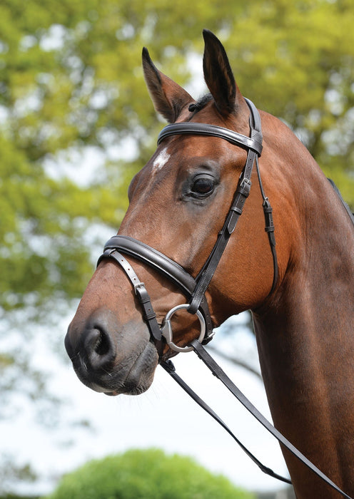 Kincade Leather Padded Flash Horse Bridle - 0VKA6 - Brown - Full - 12