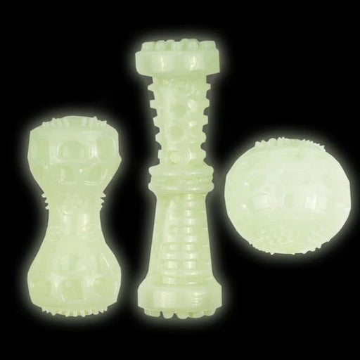 Glow in the Dark Squeaking Dog Chew Toy Assortment  
