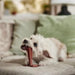 5.75 Wood Fiber T-Bone Pet Dog Chew Toy Size 5.75