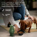 Pilot & Scout Feed N Sip Collapsible Dog Bowl and Water Bottle Set  