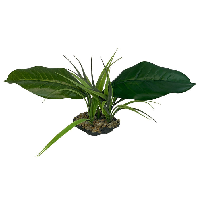 Komodo Canopy - MR1D3 - Woodland - 1