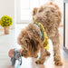 KONG Bendeez™ Plush Dog Toy with Flexible Rope Core & Squeaker - K9ADB - Elephant - Large - 1 ct - 8