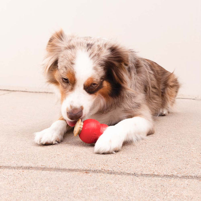 KONG Corkz Lickable Toppers for Dogs – Chicken Flavor, Fits Small, Medium & Large KONGs - K9ADE - Savory - 8 oz - 1 ct - 8