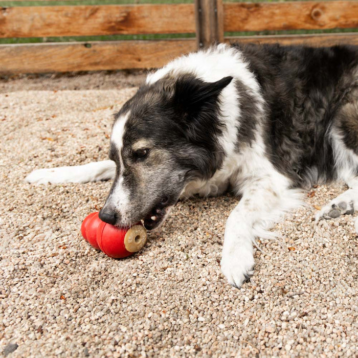 KONG Corkz Lickable Toppers for Dogs – Chicken Flavor, Fits Small, Medium & Large KONGs - K9ADE - Savory - 8 oz - 1 ct - 9