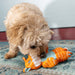 KONG Floppy Knots Plush Dog Toy with Internal Rope & Squeaker - K9AC2 - Fox - XSmall - 1 ct - 22