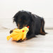 KONG Layerz Forage Animal Plush Dog Toy – Treat Puzzle with Squeaker & Crinkle - K9ABW - Rooster - Medium - 1 ct - 18
