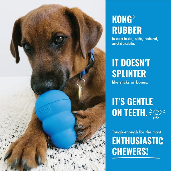 KONG Puppy Goodie Bone Treat Dispensing Dog Chew Toy – Soft Rubber Teething Toy for Puppies - K9ADF - Assorted Pink or Blue - Medium - 1 ct - 7