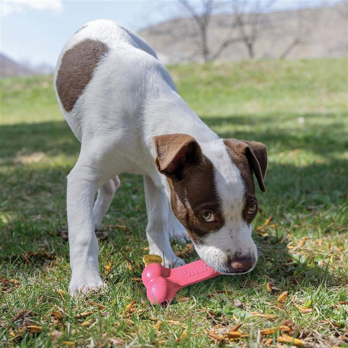 KONG Puppy Goodie Bone Treat Dispensing Dog Chew Toy – Soft Rubber Teething Toy for Puppies - K9ADF - Assorted Pink or Blue - Medium - 1 ct - 9
