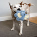 KONG Snuzzles Kiddos Plush Small Dog Toy with Squeaker & Crinkle - K9ACG - Blue Elephant - Small - 1 ct - 7