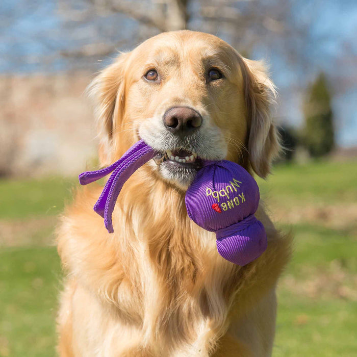 KONG Wubbas - K9W2 - Large Wubba, 15.5" - 15