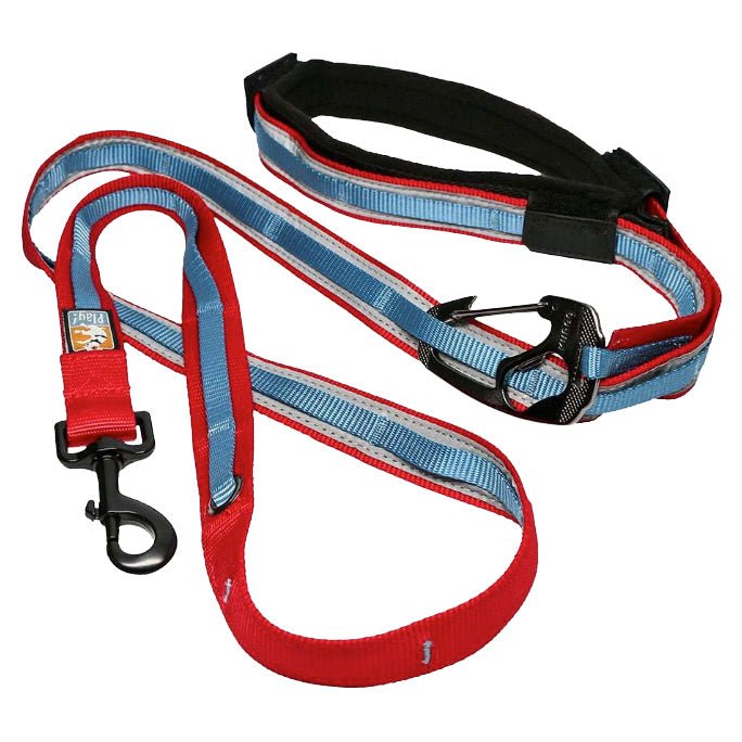 Kurgo Reflective Quantum Hands - Free Dog Leash – 6 - in - 1 Adjustable Multi - Use Leash - RP31 - Red/Blue - One Size - 1