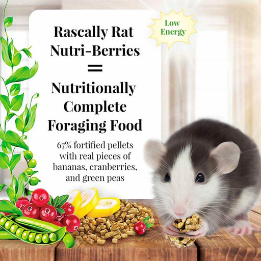 Lafeber Rascally Rat Nutri - Berries, 10 oz bag - LF41C - 2