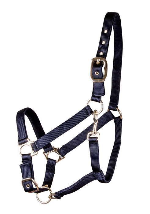 Large Horse Adjustable Nylon Halter, (900 - 1200 lb) - SS13 - Royal Blue - 3