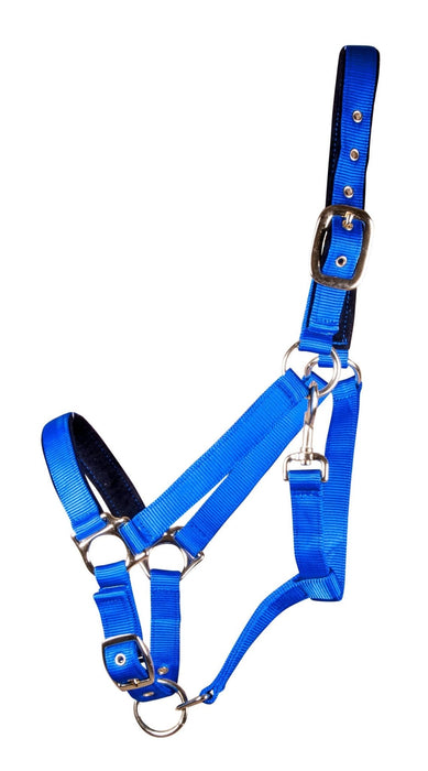 Large Horse Adjustable Nylon Halter, (900 - 1200 lb) - SS13 - Royal Blue - 1
