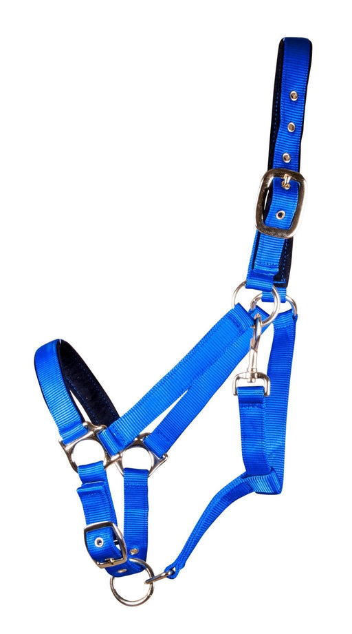 Large Horse Adjustable Nylon Halter, (900 - 1200 lb) - SS13 - Royal Blue - 1
