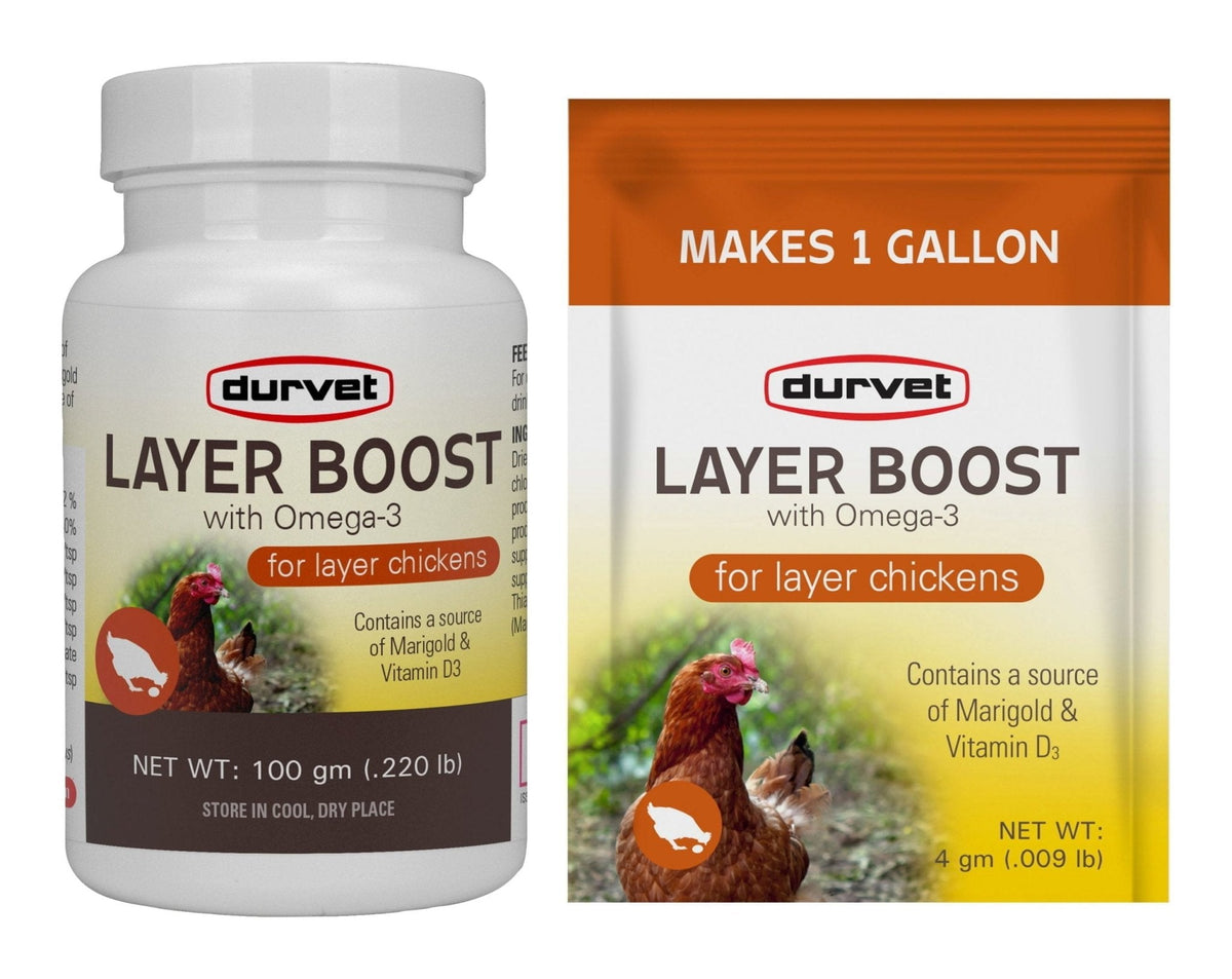 Durvet Layer Boost, 100 gm for Chickens — Lambert Vet Supplies