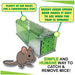 Live Catch & Release Mouse Traps, 2-Pack - B2F2 - 2 - 2