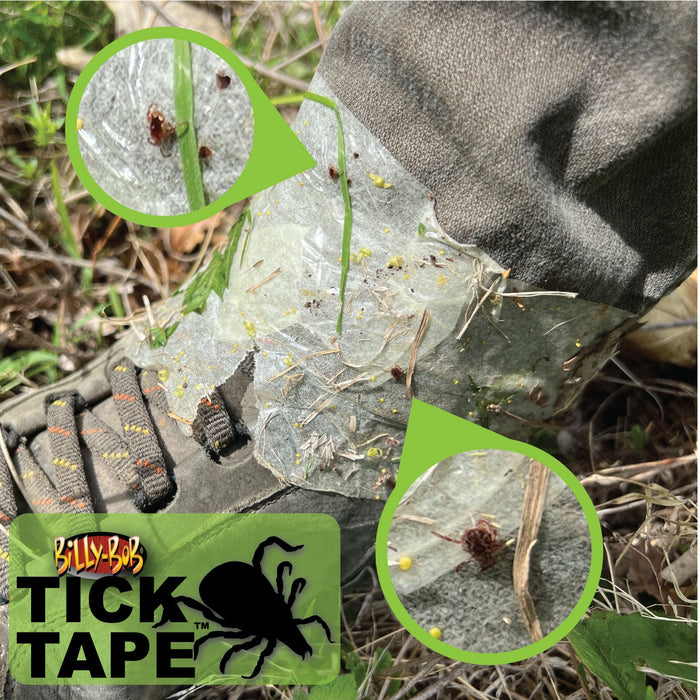 Live Catch & Release Mouse Traps, 2-Pack - B2F2 - 2 - 6