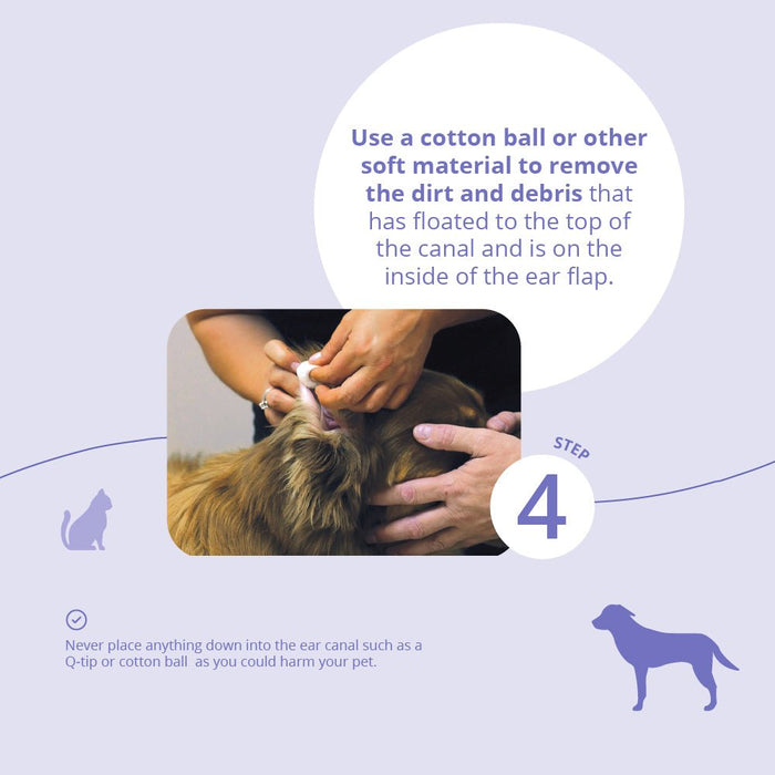 Malaseb Flush – Medicated Antibacterial & Antifungal Skin Flush for Dogs, Cats, and Horses - 019BAY-89267 - 12 oz - 7