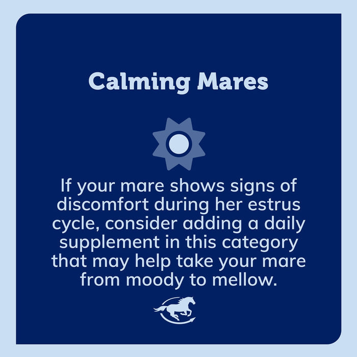 Mare Ease Horse Calming Supplement, Powder - SMABT - 4.5 lb - 6