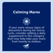 Mare Ease Horse Calming Supplement, Powder - SMABT - 4.5 lb - 6
