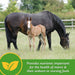 Mare Plus Gestation and Lactation Supplement - FAMT - 7.5 lb Mare Plus Gestation and Lactation Supplement - 12