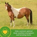 Mare Plus Gestation and Lactation Supplement - FAMT - 7.5 lb Mare Plus Gestation and Lactation Supplement - 11