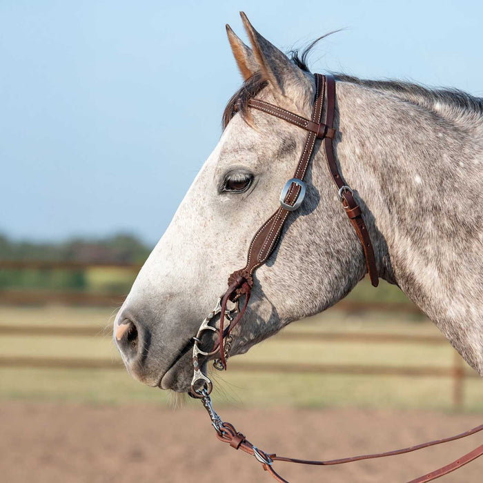 Martin Saddlery Leather Browband Headstall with Rosette Strings - CR1WJ - Chocolate Brown - Horse - 3