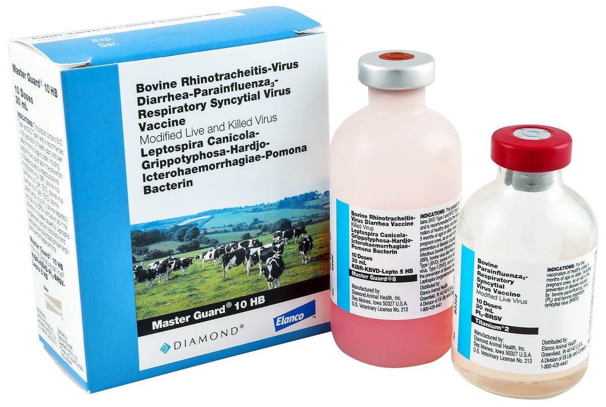 Master Guard® 10 HB Cattle Vaccine with Lepto — Lambert Vet Supplies