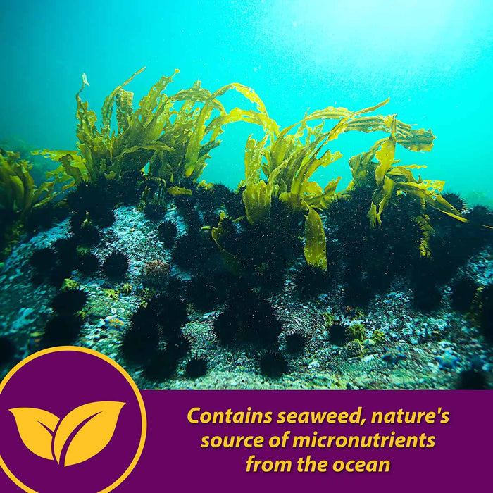 Maxum Crumbles for Horses - Jeffers - Animal Health & Wellness > Vitamins & Supplements