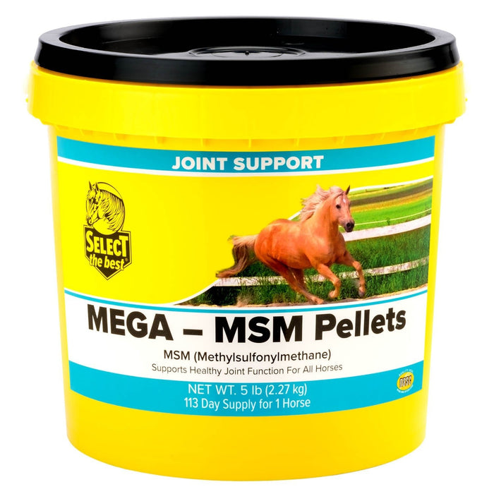 Mega - MSM Pellets Joint Supplement for Horses – 10,000 mg MSM with Stabilized Rice Bran for Mobility & Flexibility - SELCL - 5 lb - 113 Day Supply - 1