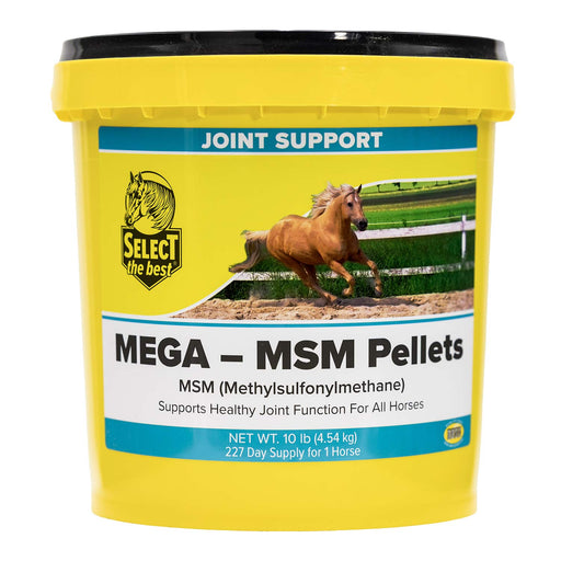Mega - MSM Pellets Joint Supplement for Horses – 10,000 mg MSM with Stabilized Rice Bran for Mobility & Flexibility - SELCM - 10 lb - 226 Day Supply - 2