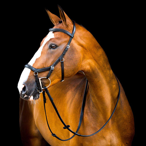Micklem 2.0 Deluxe Competition Bridle for Horses - Padded Leather, Reins Included, Dressage & Show Bridle - FO50D - Black - Oversized - 2